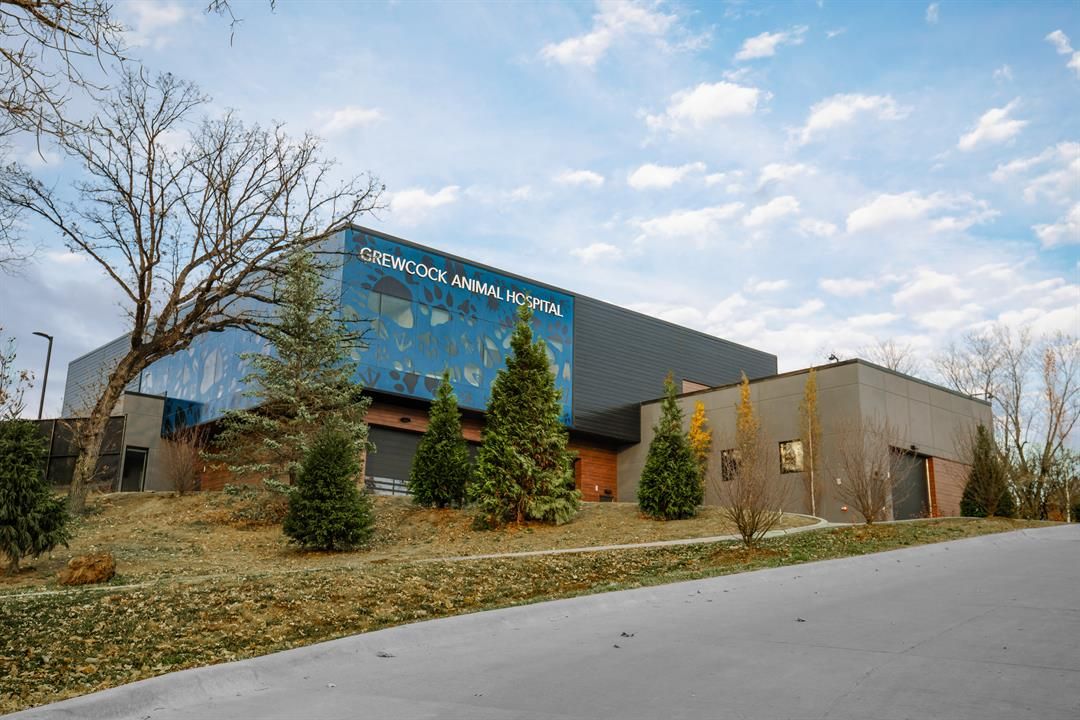 Omaha's Henry Doorly Zoo and Aquarium Opens Grewcock Veterinary Hospital