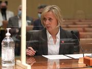 Lynne Walz enters race for governor